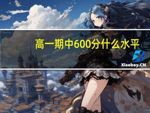 高一期中600分什么水平