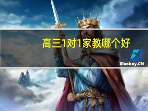 高三1对1家教哪个好