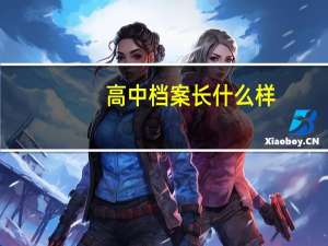 高中档案长什么样