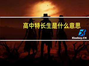 高中特长生是什么意思？