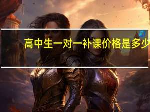 高中生一对一补课价格是多少