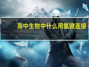 高中生物中什么用氢键连接
