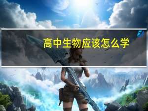 高中生物应该怎么学