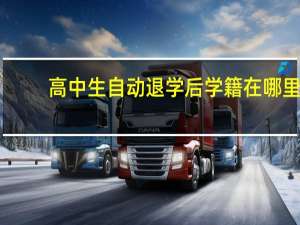 高中生自动退学后学籍在哪里