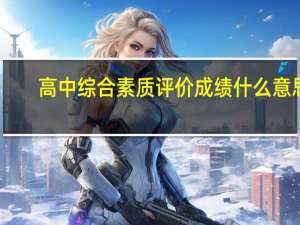 高中综合素质评价成绩什么意思