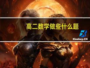高二数学做些什么题