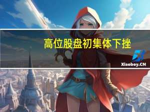 高位股盘初集体下挫