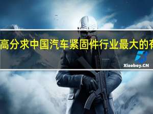 高分求中国汽车紧固件行业最大的有几家