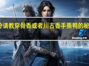 高分 请教穿骨香或者川古香手撕鸭的秘方是什么