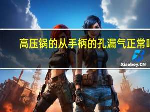 高压锅的从手柄的孔漏气正常吗