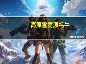 高原雪 高原牦牛(五香)的热量是多少