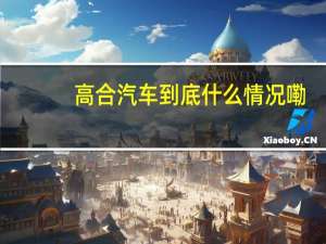 高合汽车 到底什么情况嘞