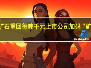 高品位磷矿石重回每吨千元上市公司加码“矿化一体”产业链