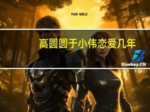 高圆圆于小伟恋爱几年（于小伟玩残高圆圆）