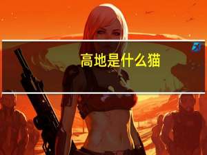 高地是什么猫