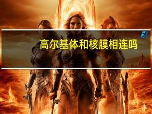 高尔基体和核膜相连吗