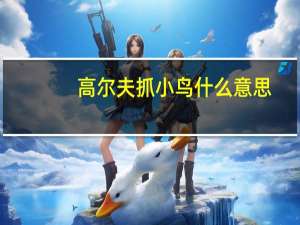 高尔夫抓小鸟什么意思