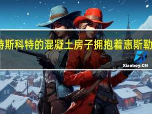 高尔特斯科特的混凝土房子拥抱着惠斯勒的岩石峭壁