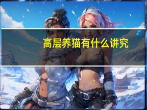 高层养猫有什么讲究