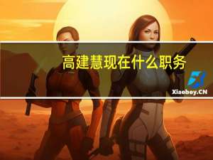 高建慧现在什么职务（高建慧）