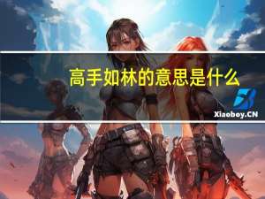 高手如林的意思是什么