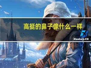高挺的鼻子像什么一样
