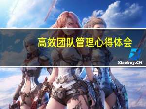 高效团队管理心得体会