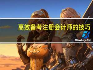 高效备考注册会计师的技巧