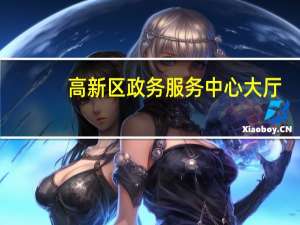 高新区政务服务中心大厅（袁魁-四川省郫县政务服务中心副主任简介）
