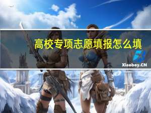 高校专项志愿填报怎么填