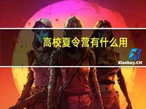 高校夏令营有什么用