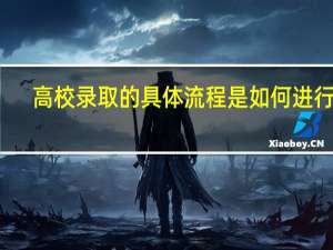 高校录取的具体流程是如何进行的