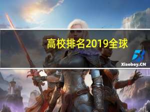 高校排名2019全球