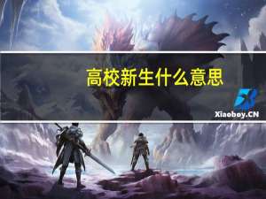 高校新生什么意思