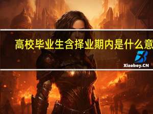 高校毕业生含择业期内是什么意思