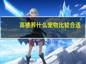 高楼养什么宠物比较合适