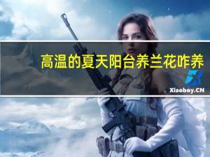 高温的夏天阳台养兰花咋养