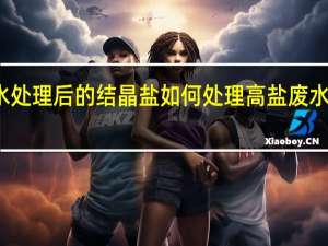 高盐废水处理后的结晶盐如何处理 高盐废水处理专业公司