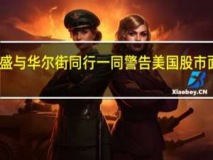 高盛与华尔街同行一同警告美国股市面临风险