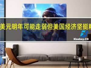 高盛预计美元明年可能走弱 但美国经济坚挺料有助缓和跌势