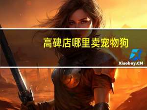 高碑店哪里卖宠物狗