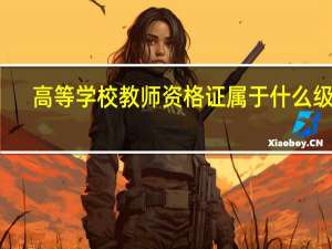 高等学校教师资格证属于什么级别