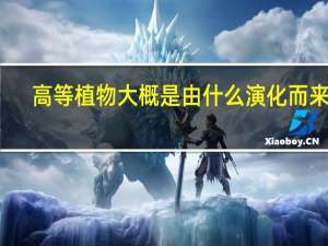 高等植物大概是由什么演化而来的