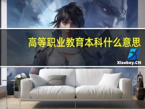高等职业教育本科什么意思