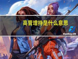 高管增持是什么意思