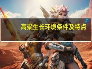 高粱生长环境条件及特点