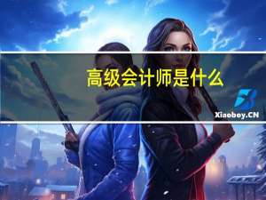 高级会计师是什么