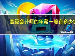 高级会计师的年薪一般有多少钱