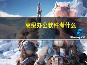 高级办公软件考什么
