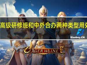 高级研修班和中外合办两种类型用处大吗